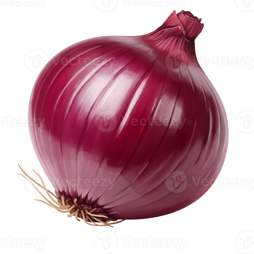 Single Red Onion, Vibrant and Fresh - Detailed Studio Shot png