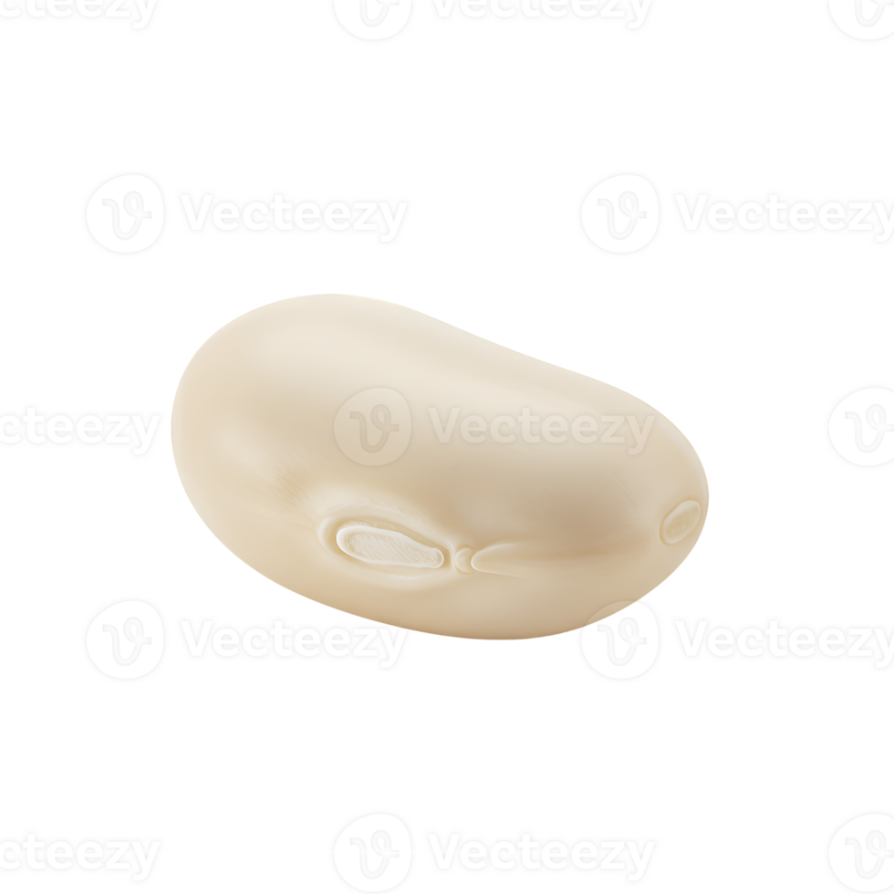 Single White Bean Macro Photograph Isolated on Transparent Background png