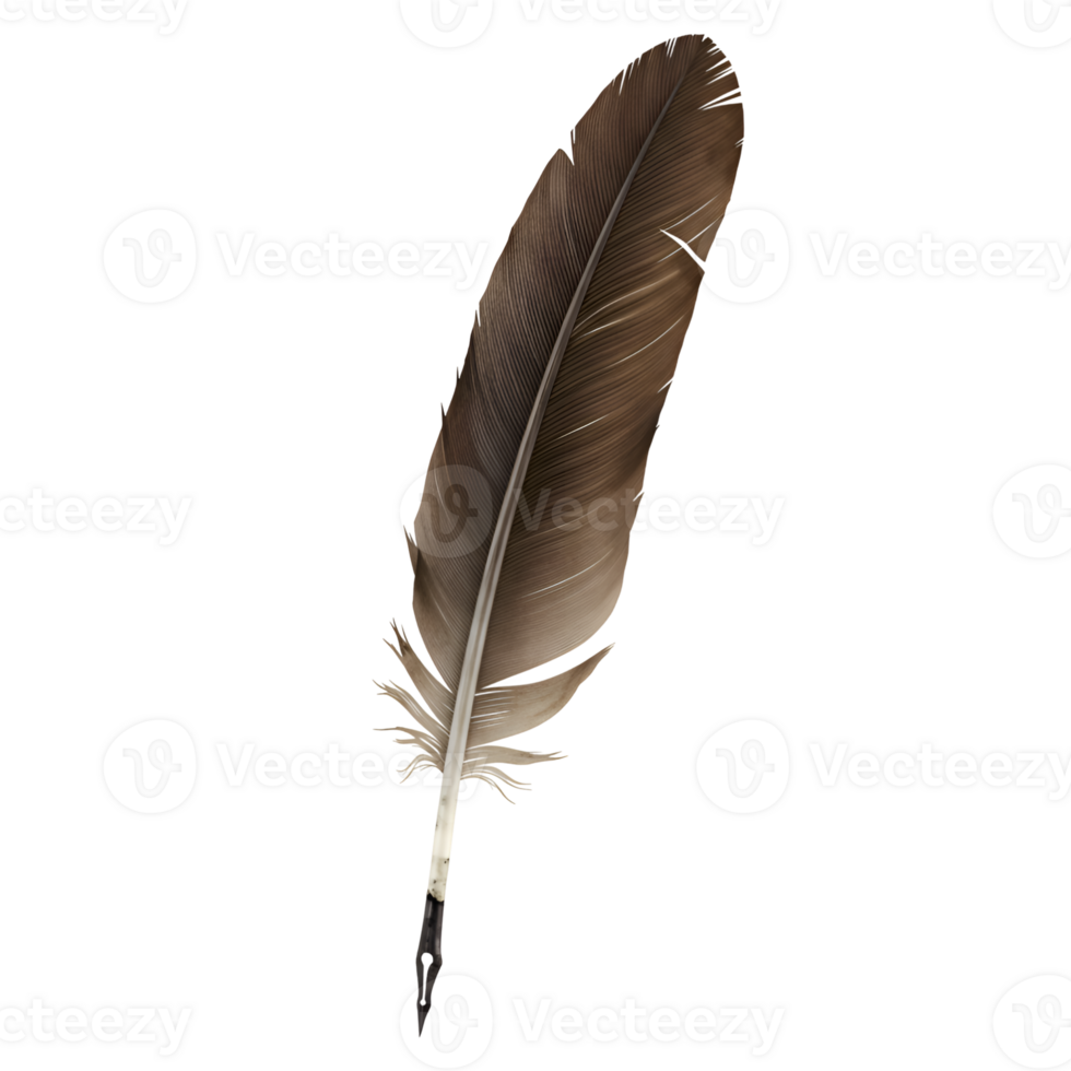 Single Brown Quill Feather on Transparent Background png