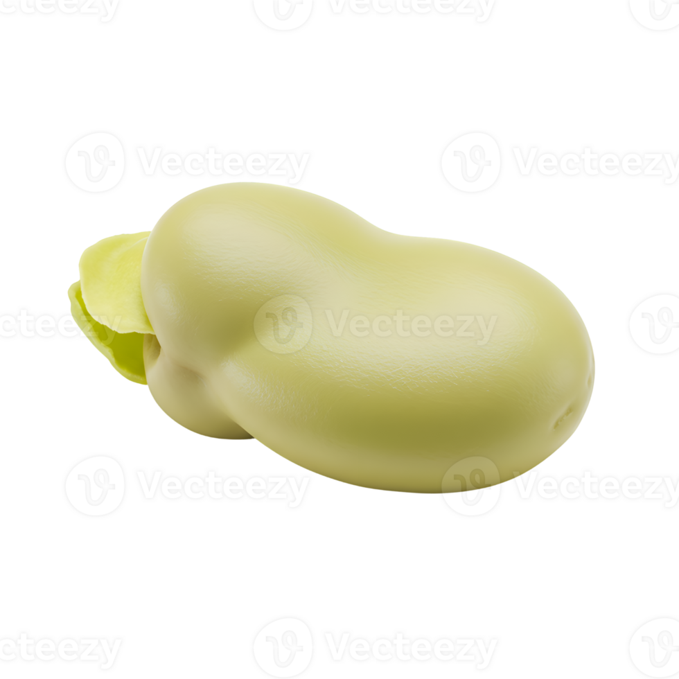Single Fresh Broad Bean with Hull Closeup png