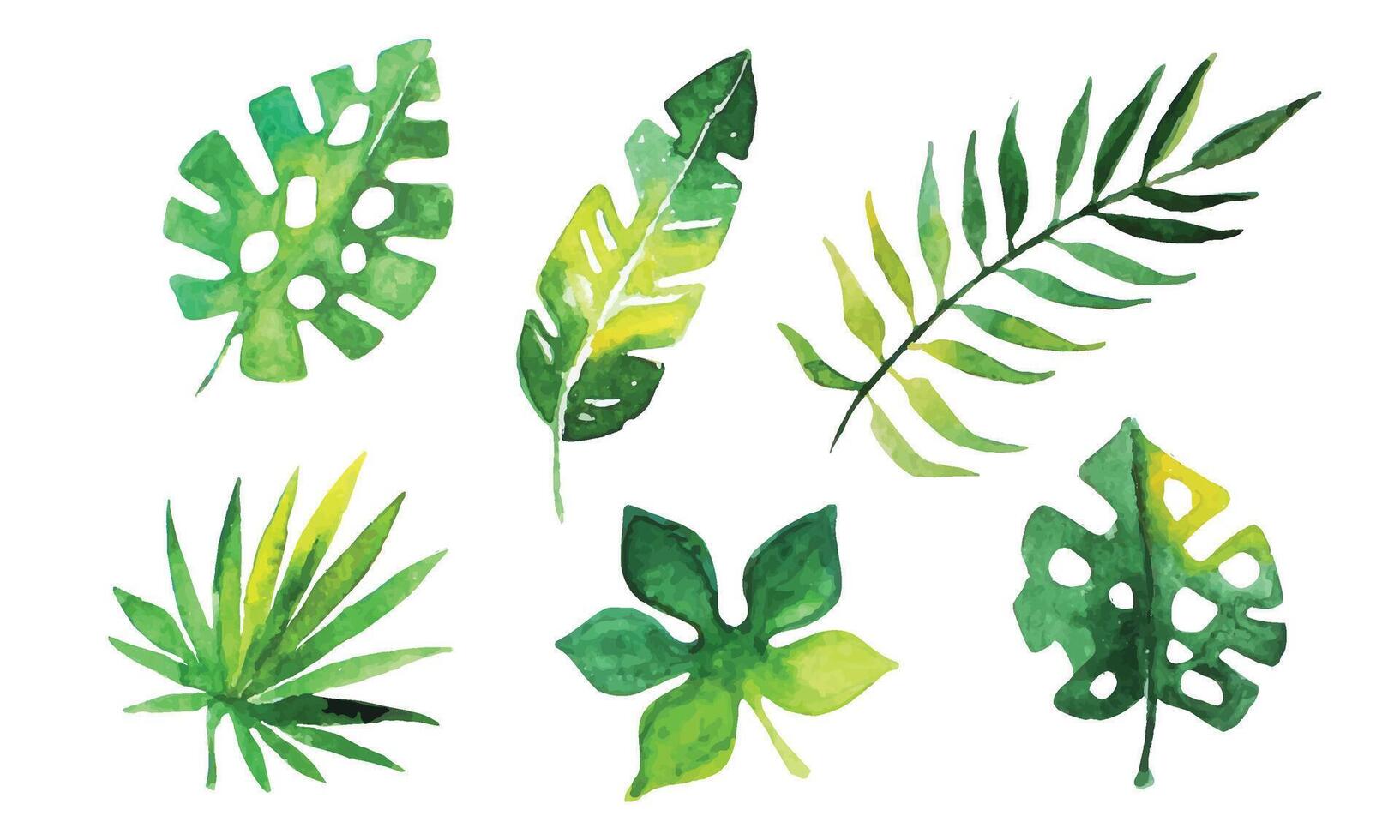 Palm Leaves Collection, Beautiful Tropical Exotic Green Plants Watercolor Hand Drawn Illustration vector