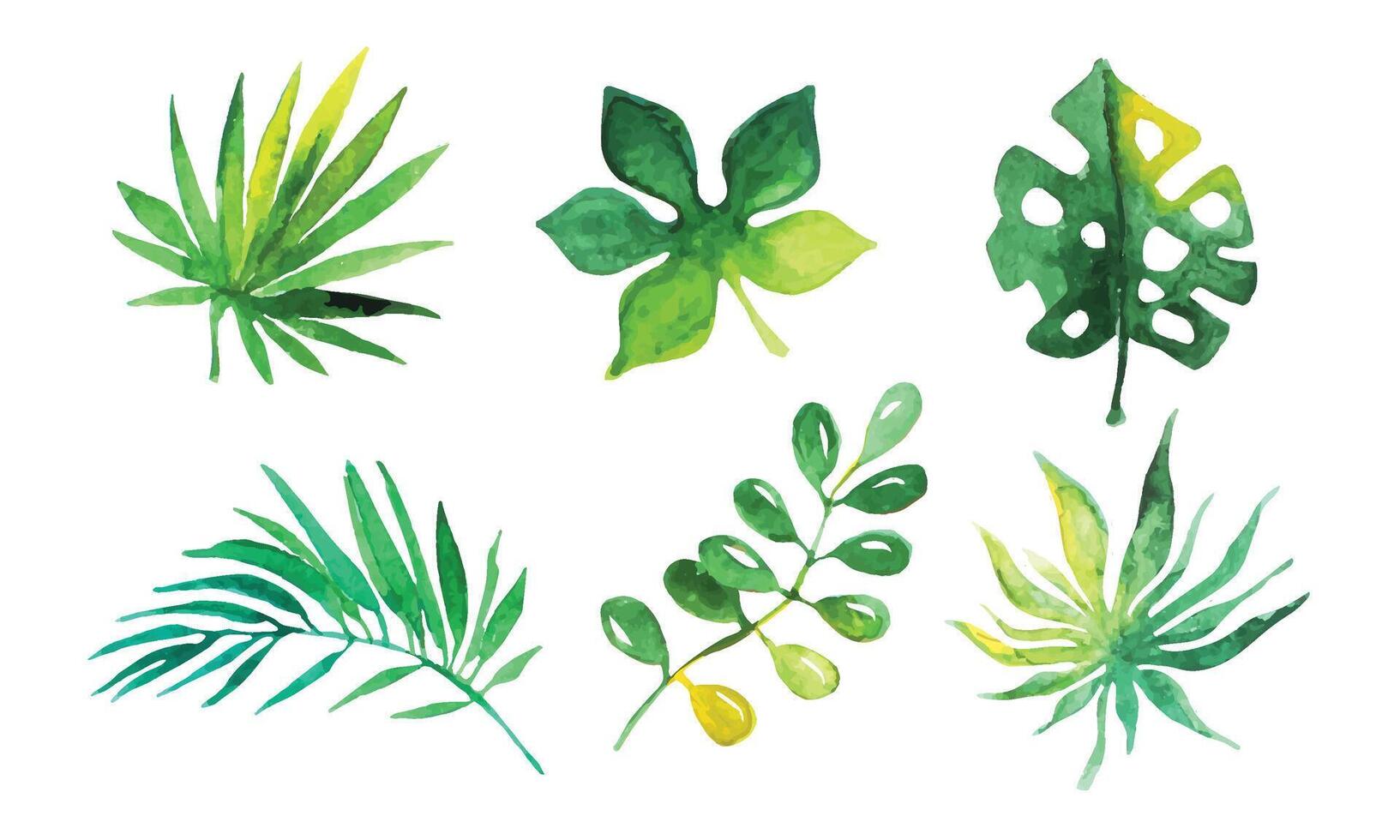 Palm Leaves Collection, Beautiful Tropical Exotic Plants Watercolor Hand Drawn Illustration vector