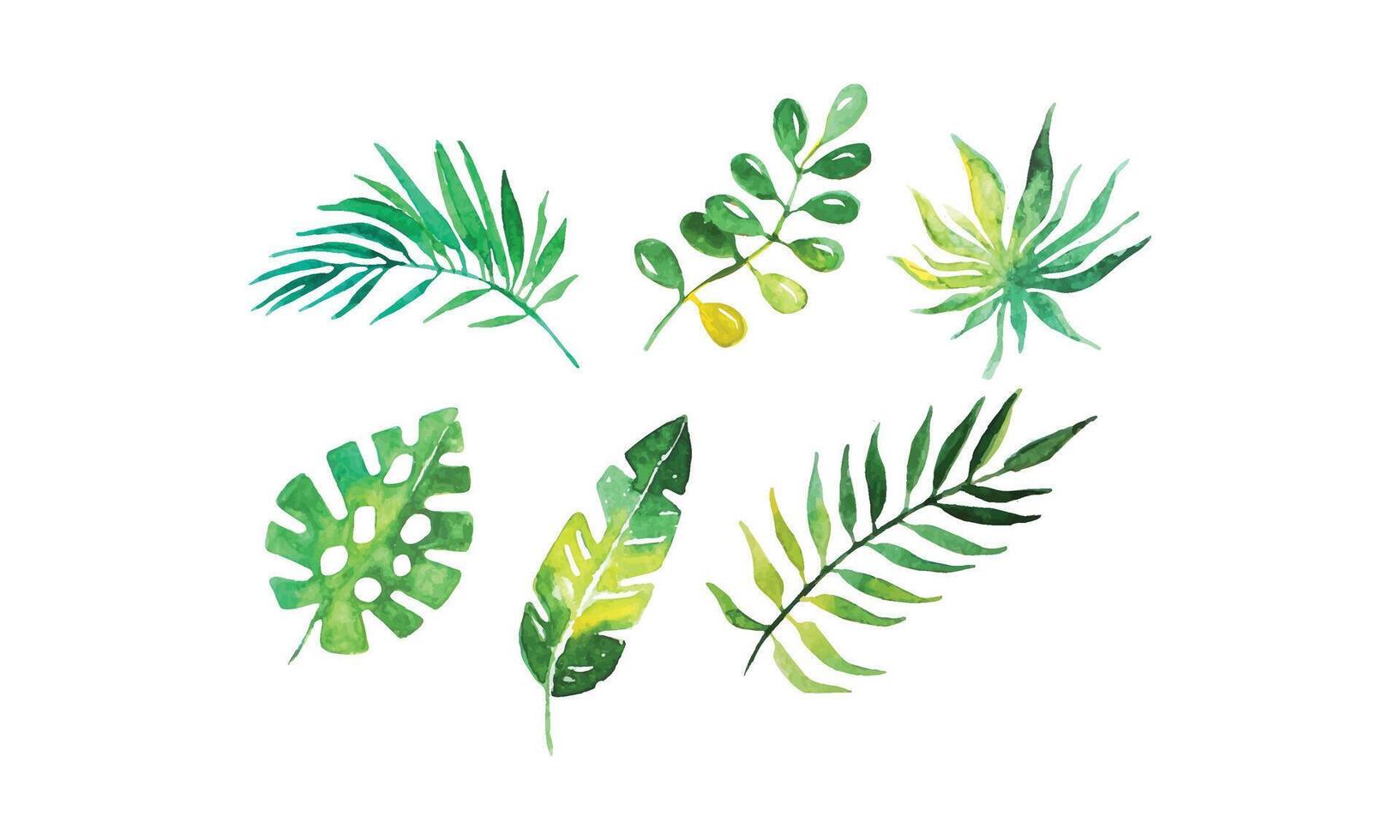 Green Tropical Palm Leaves Collection, Beautiful Exotic Plants Watercolor Hand Drawn Illustration vector