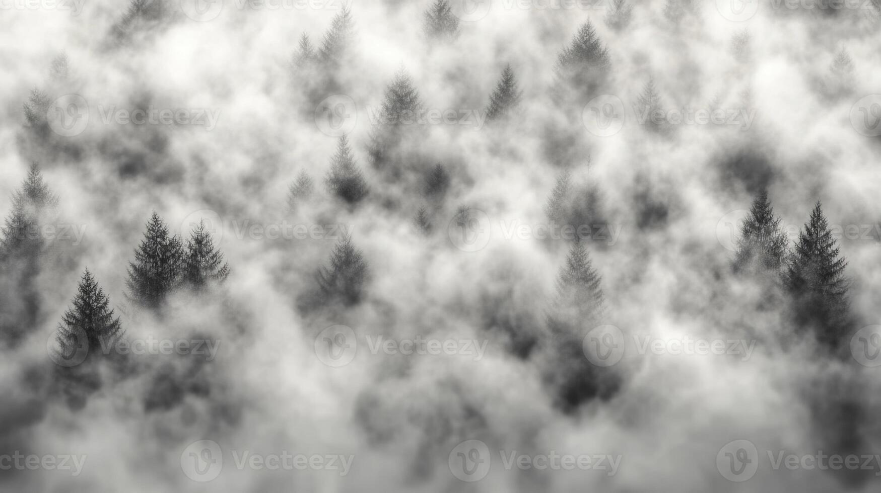 Black and white fog and dust overlay creating a mysterious woodland atmosphere photo