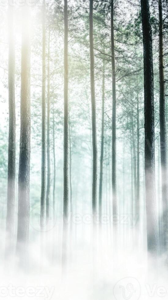 Misty teal forest enveloped in soft fog during early morning hours photo
