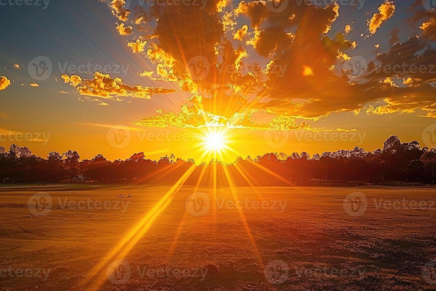 A Golden Sunset Illuminates a Field of Grass photo