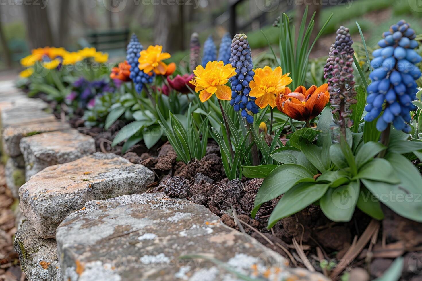 A Colorful Spring Garden Border with Stone Wall and Flowers photo