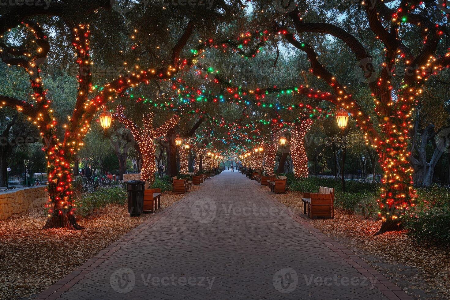 Festive Tree-lined Path with String Lights and Lanterns photo