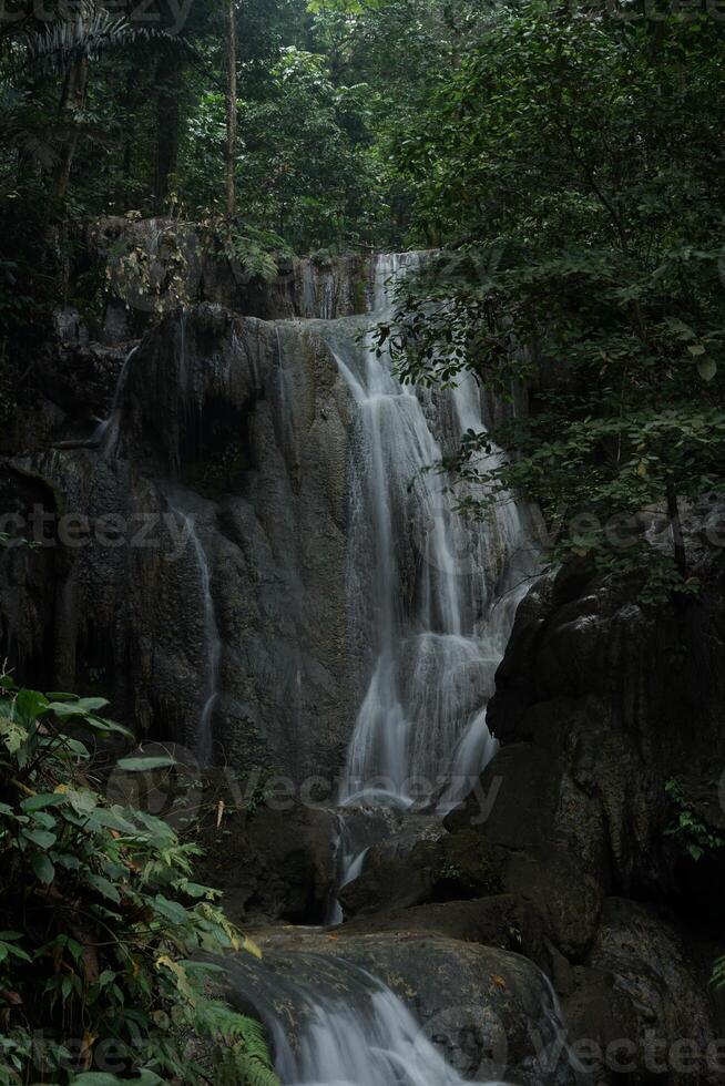 Hidden Jungle Waterfall with Serene Flow photo
