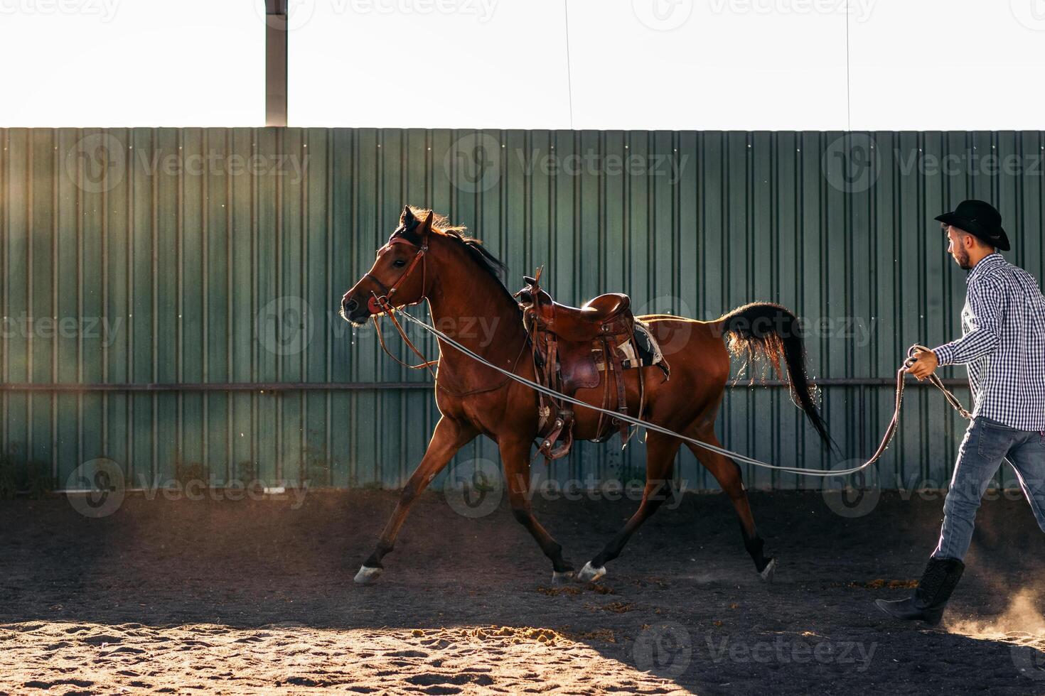 Horse in a riding center. A man taking care of his horse photo