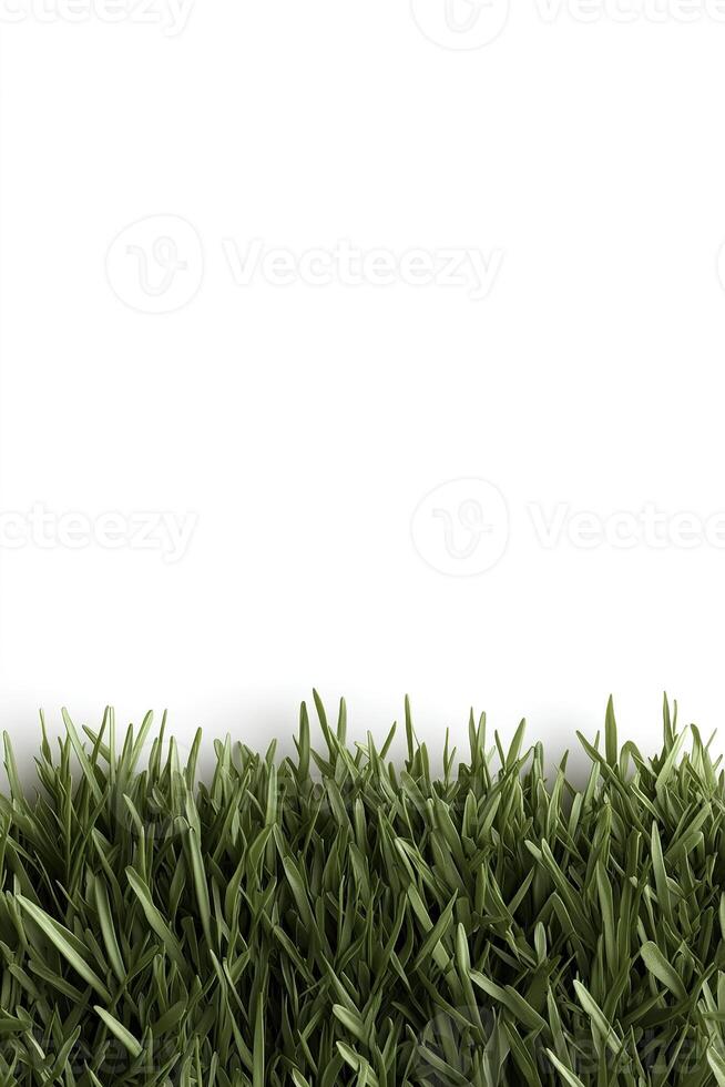 A bright green strip of cartoon-inspired grass forms a vibrant border at the base of a white background, providing ample space for playful text and design elements photo