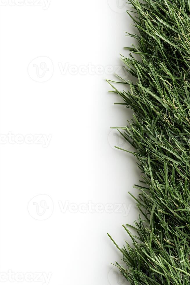 A lush strip of vibrantly green grass with sharply defined blades lies against a bright white background, leaving ample space for text and branding. Perfect for eco-friendly themes photo