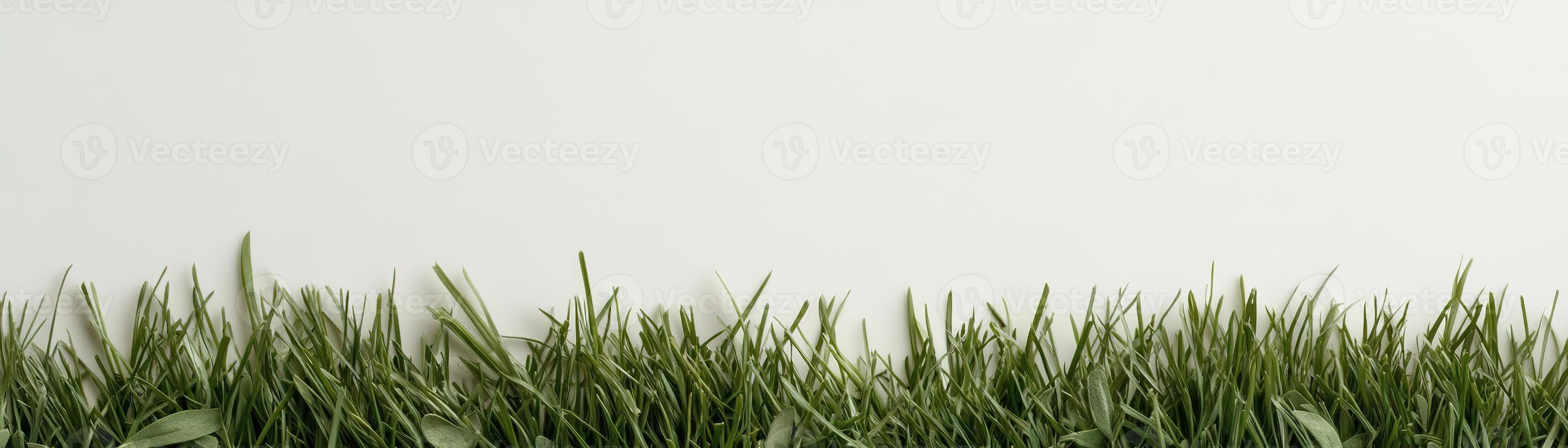 Lush green grass with sharply defined blades stretches along the bottom edge of a bright white background, creating a fresh and natural feel ideal for eco-friendly projects photo