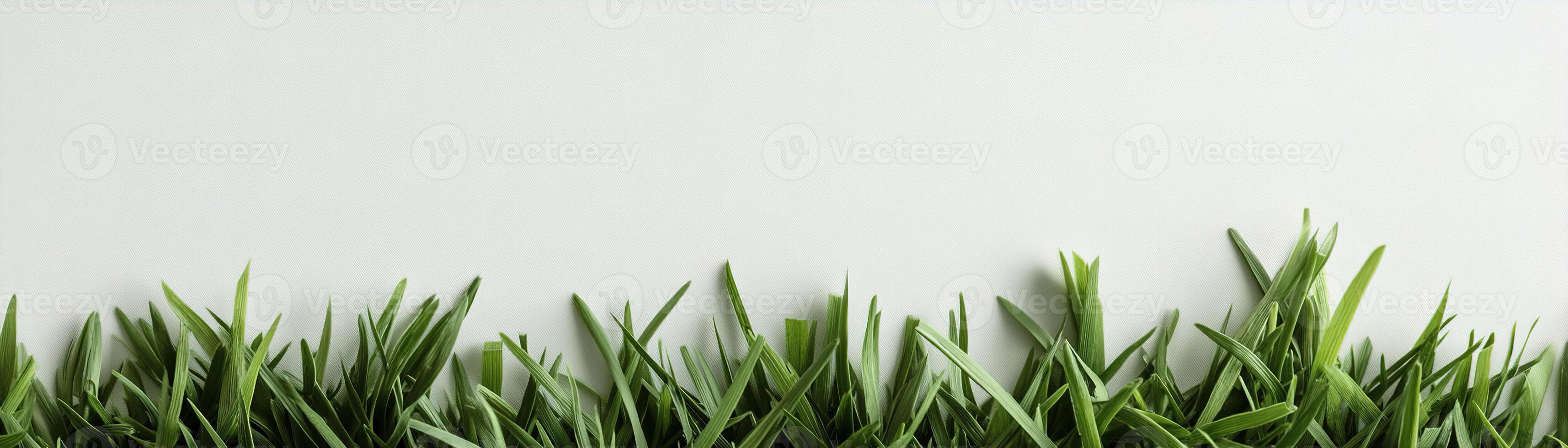 Lush green grass with sharp blades lines the bottom edge of a bright white background, creating a fresh and natural look for eco-friendly projects and website footers photo
