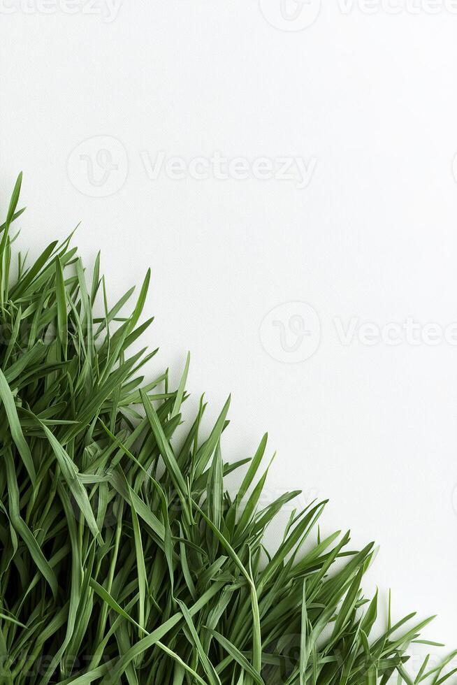 Lush green grass fills the bottom edge, sharply defined against a bright white backdrop, creating a fresh and natural ambiance ideal for eco-conscious projects and website footers photo