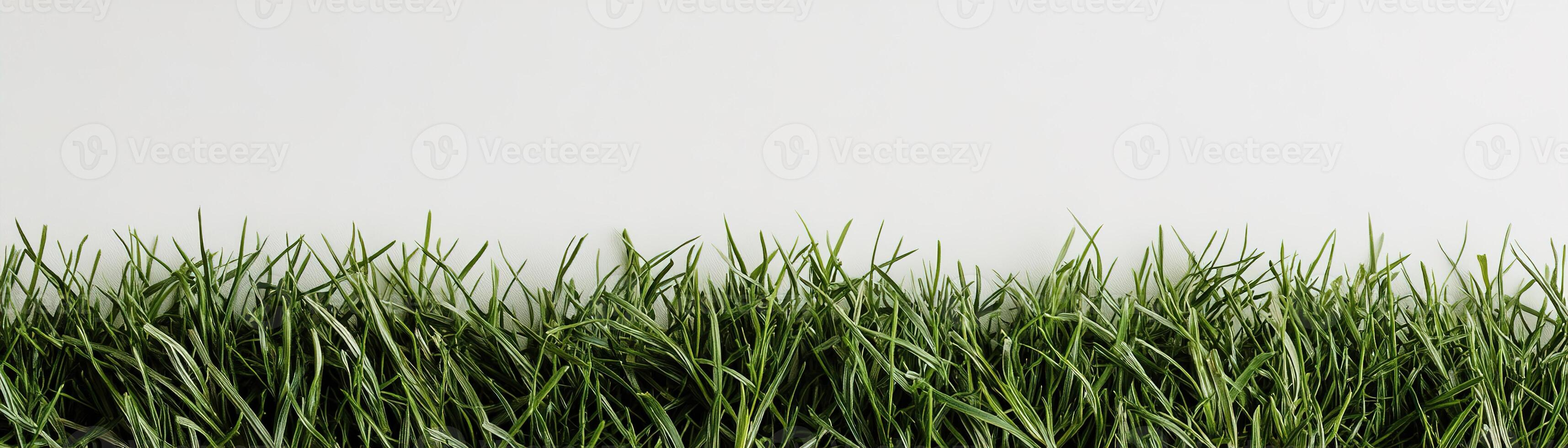 Lush green grass with sharply defined blades creates a vibrant strip along the bottom edge of a bright white background. This fresh and natural setting is ideal for eco-focused projects photo