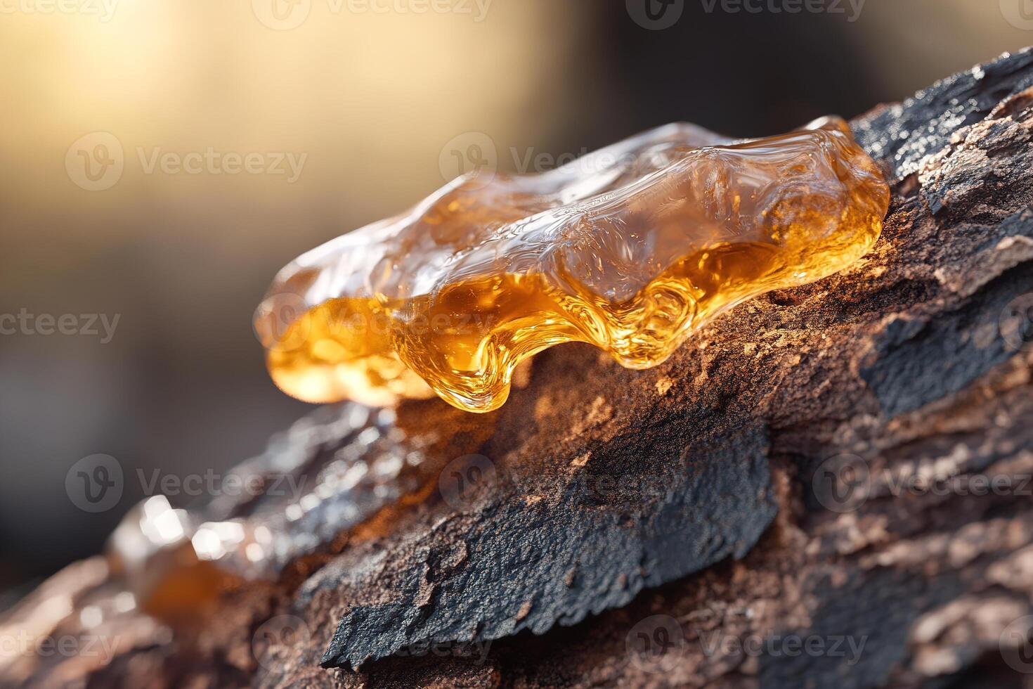 Thick amber resin emerges from rugged tree bark, its translucent surface shimmering in the sunlight. The earthy tones of the forest create a soft-focus backdrop, enhancing its tactile allure photo