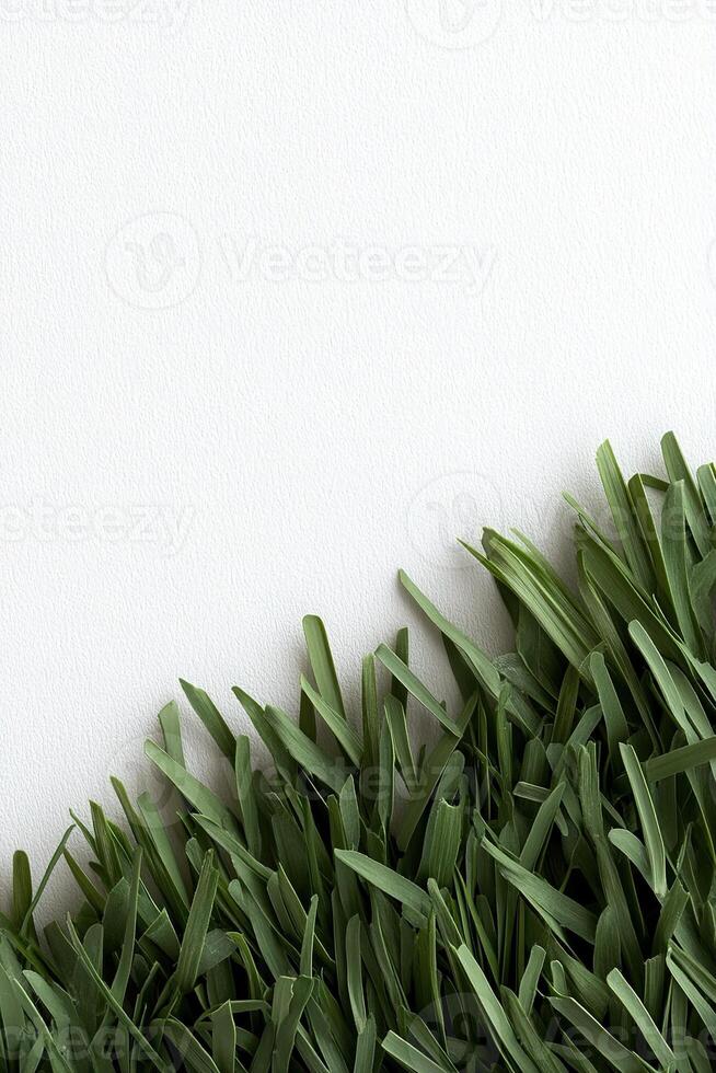 This vibrant strip of cartoon grass features rounded blades that create a cheerful border against a white background. Ideal for engaging designs aimed at kids and gaming enthusiasts photo