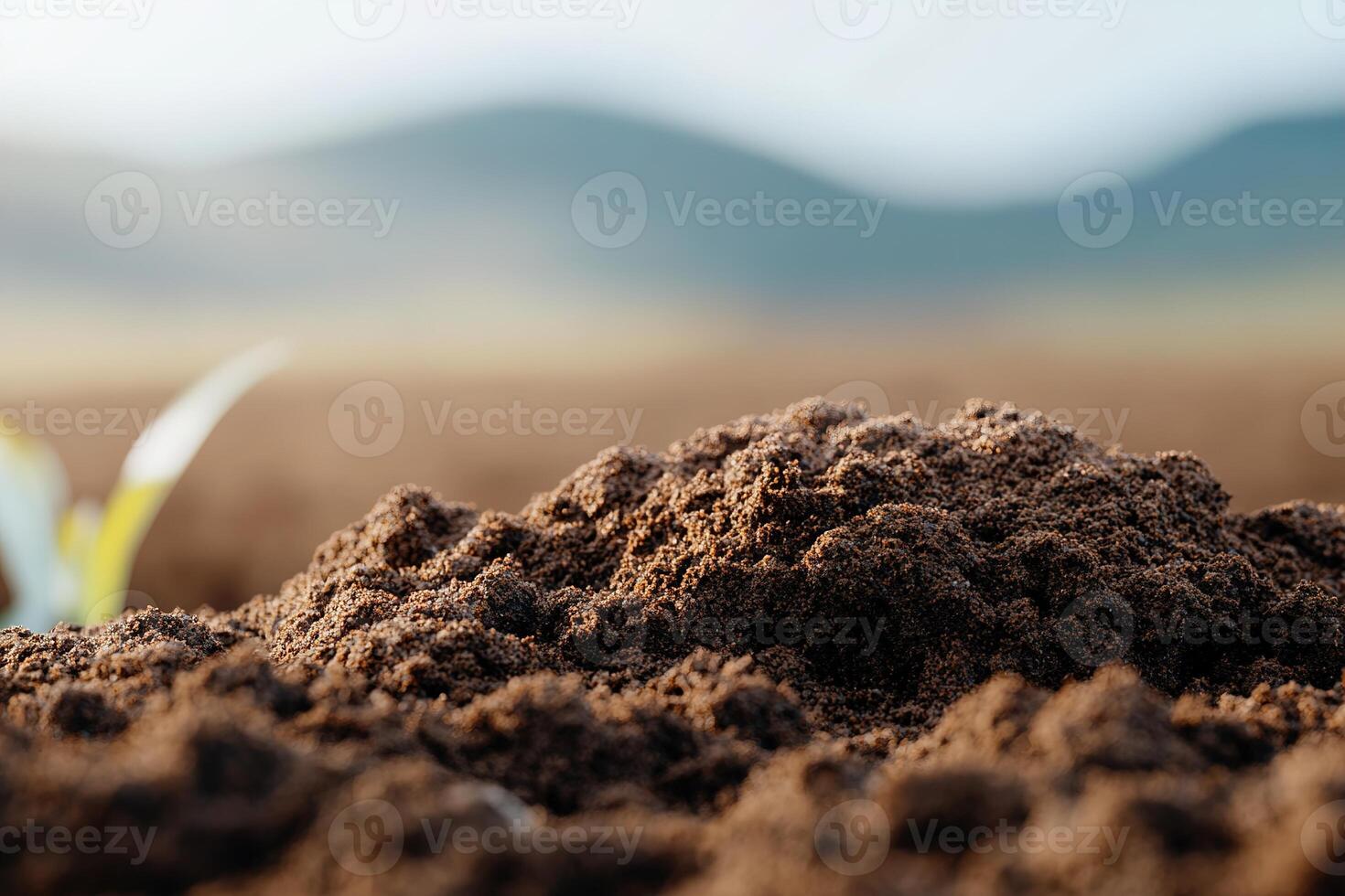 Close-up view of dark brown soil just plowed, with gentle sunlight highlighting its rich texture photo