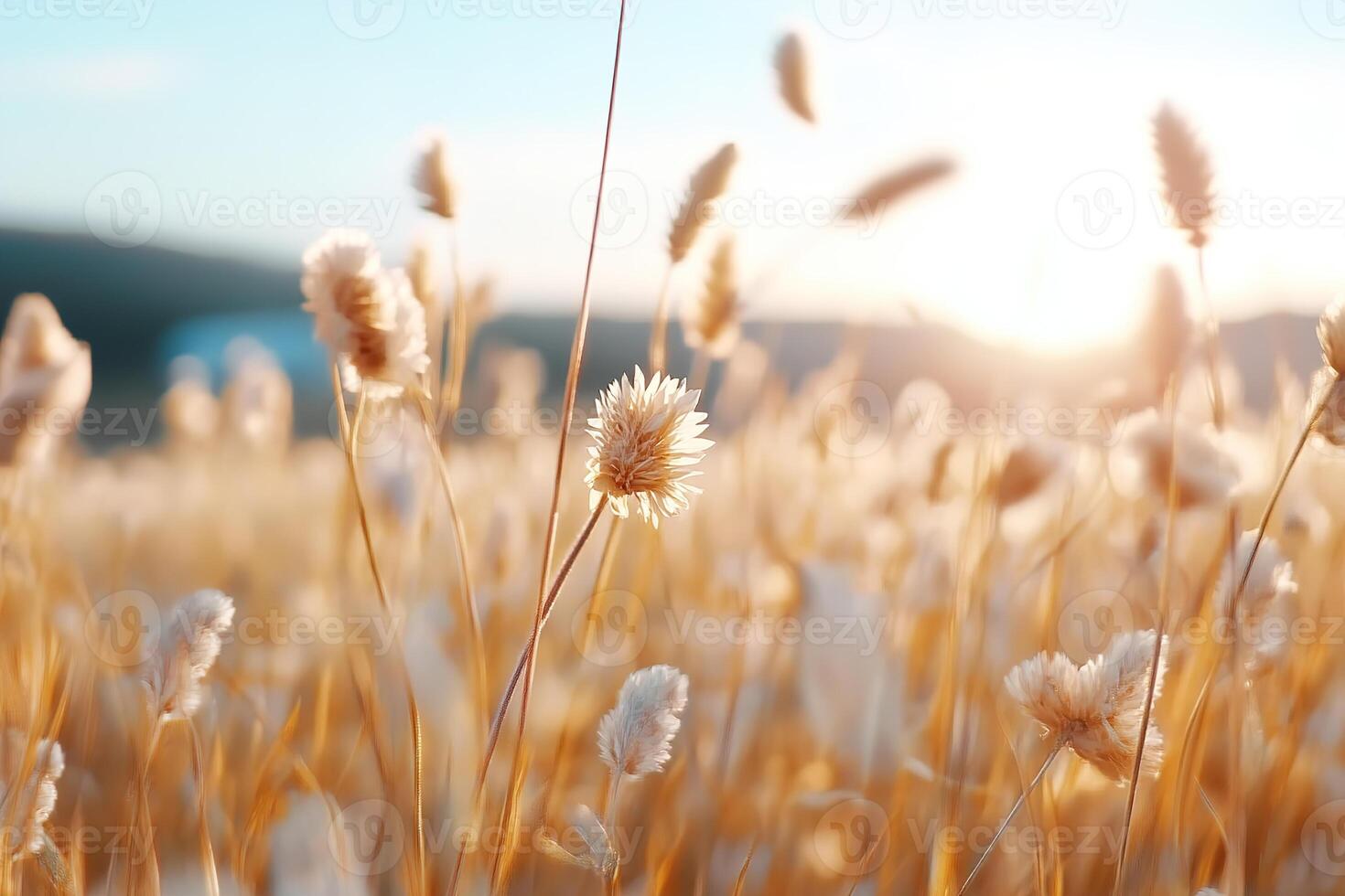 A vast field of sunflowers dances in the gentle wind, their petals glowing under warm sunlight, creating a bright and uplifting atmosphere perfect for agricultural tourism photo