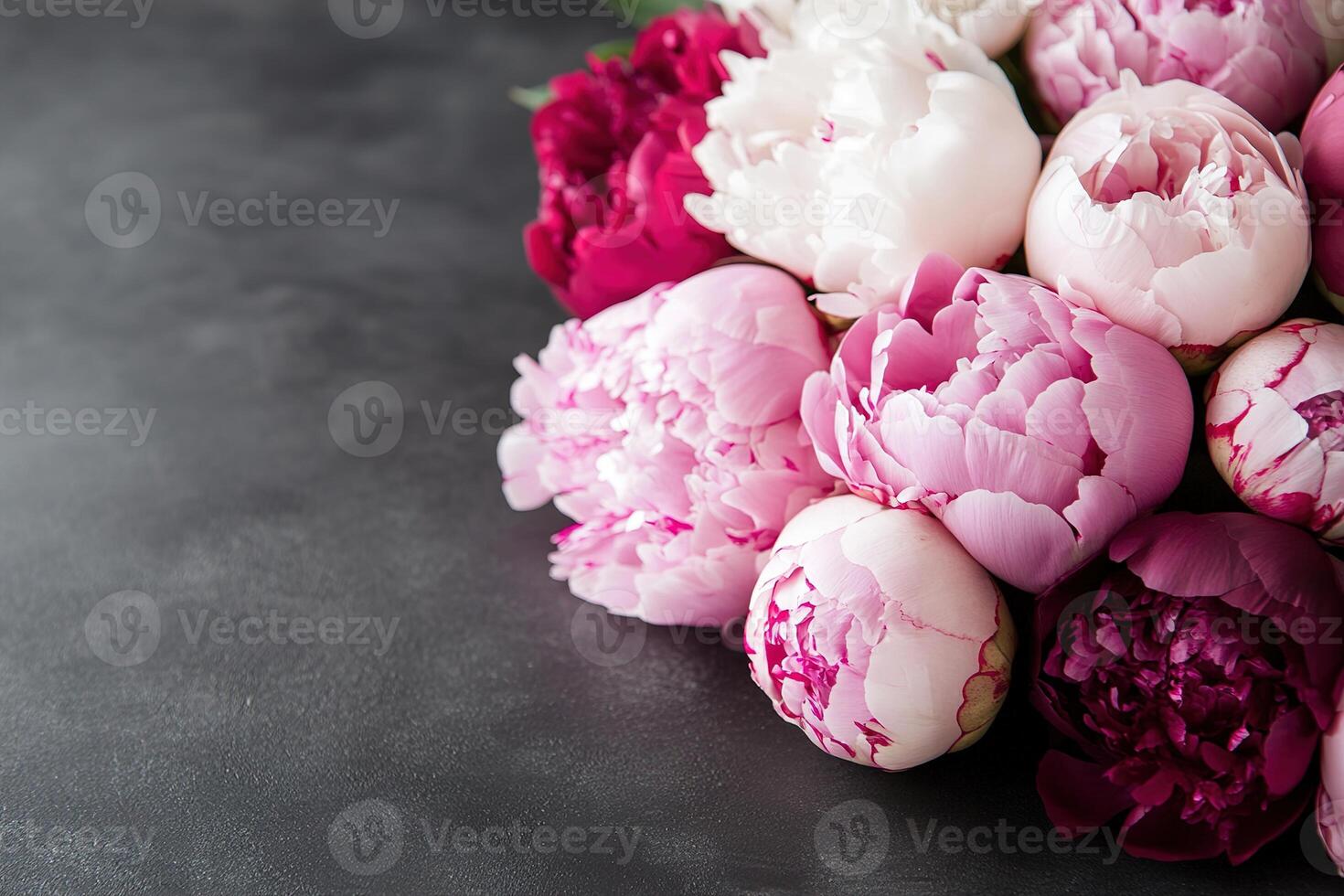 Deep pink and red peonies are arranged beautifully against a dark backdrop. Soft lighting highlights their delicate textures while creating a moody atmosphere perfect for marketing photo
