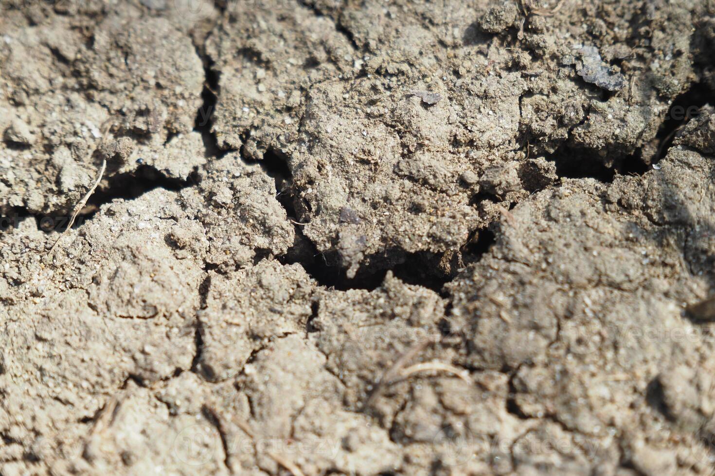 Soil with cracks reveals drought conditions in agricultural land photo
