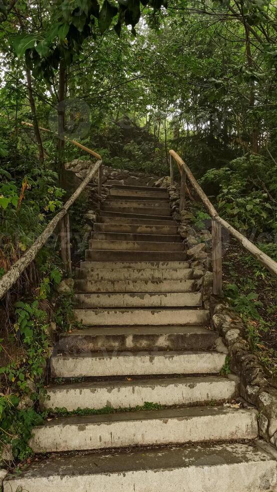 Hiking trail steps leading upwards in the forest of strbske pleso, high tatras photo