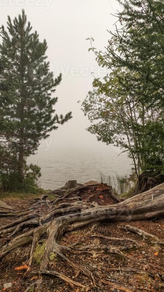 Fog rolling over strbske pleso lake in the high tatras mountains of slovakia photo
