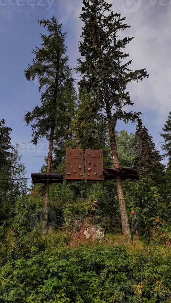 Climbing wall hanging between two trees in a forest adventure park in slovakia strbske pleso, high tatras photo