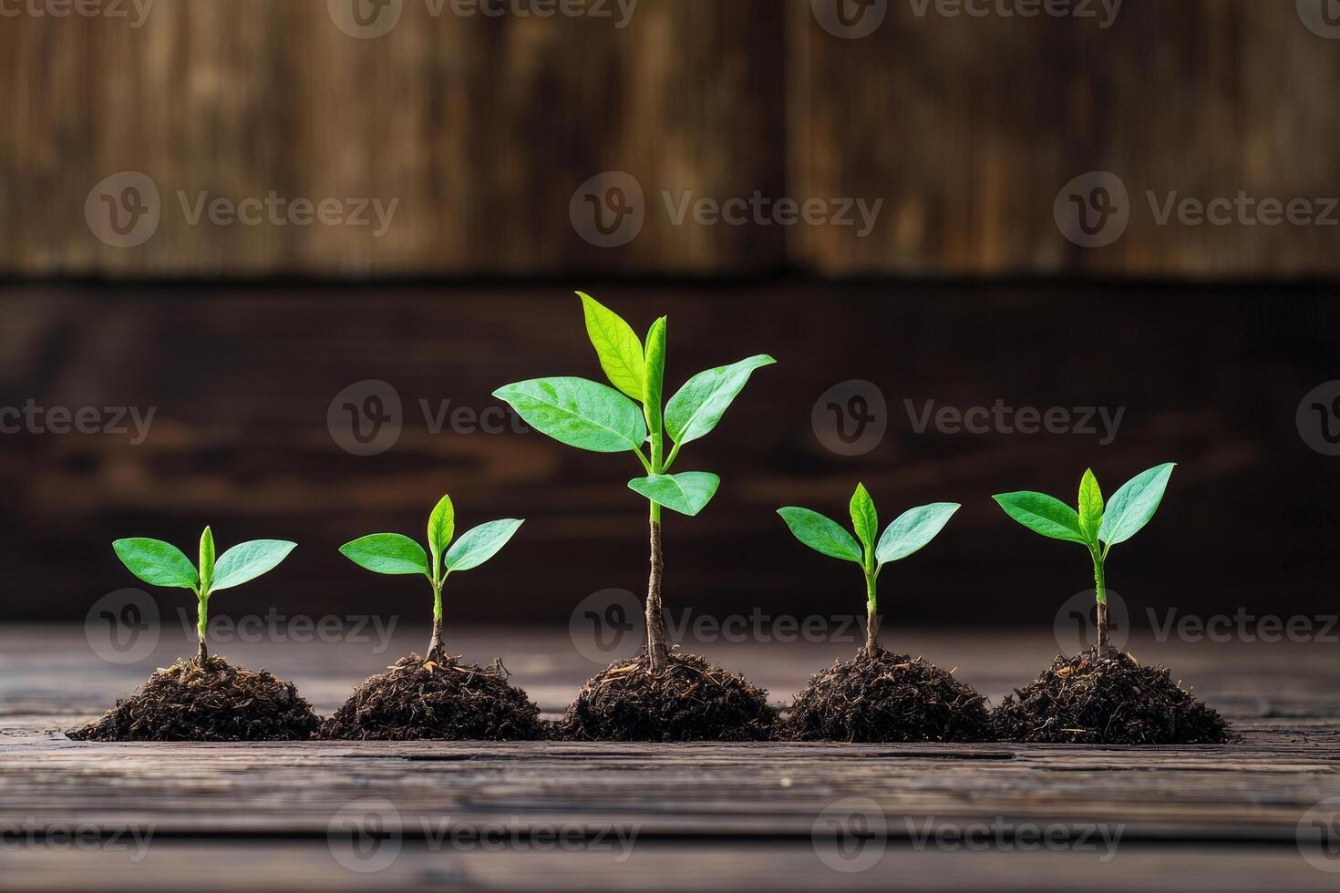 Transformation growth mindset concept. Five stages of plant growth shown through seedlings sprouting from the soil, symbolizing development and nature's beauty. photo