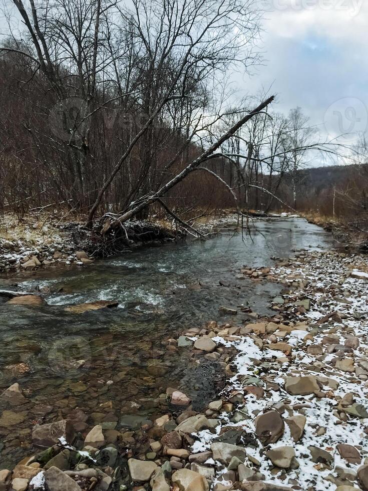 A picturesque stream gracefully flowing through a rugged and rocky terrain, complemented by a backdrop of majestic trees in the distance, creating a serene and tranquil natural setting photo