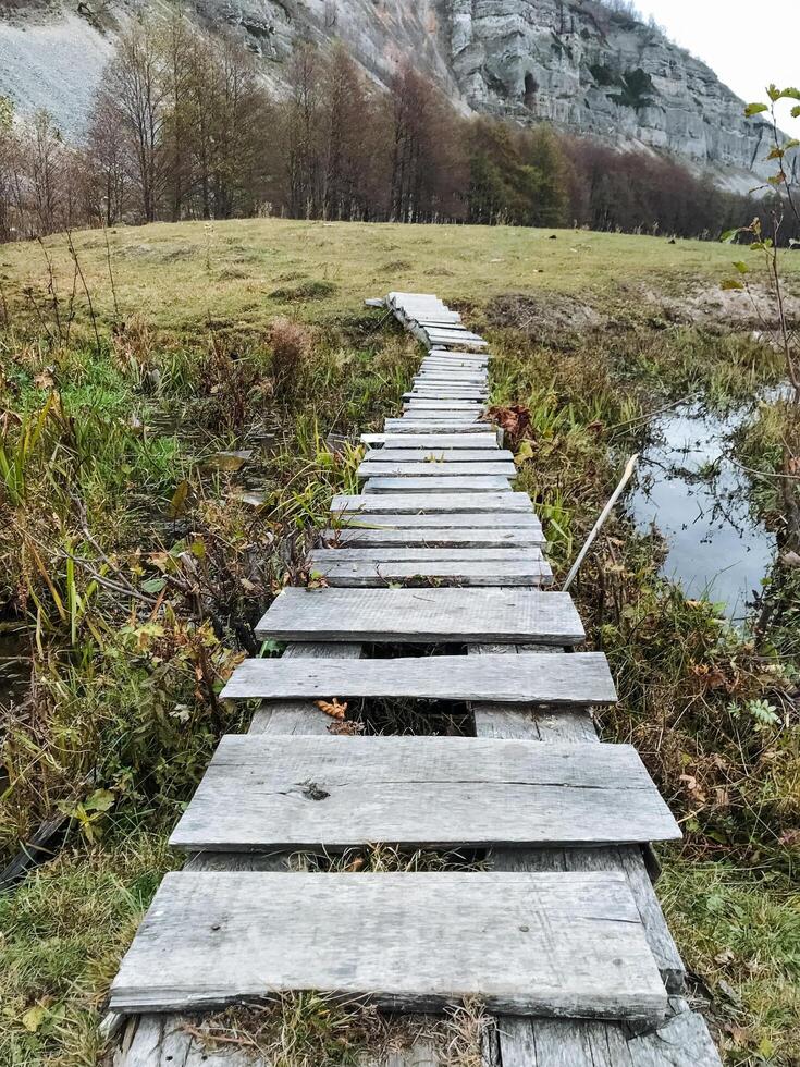 A wooden walkway leading to a grassy field and a mountain photo