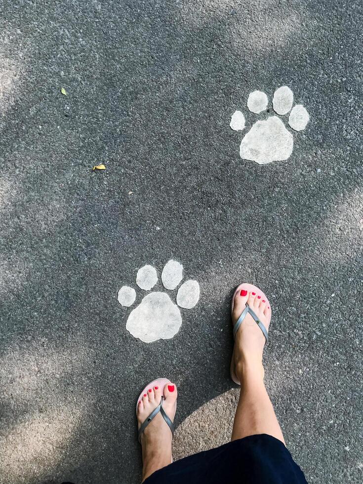 A casually dressed woman wearing flip flops stands in front of a significant number of visible paw prints imprinted on the ground, clearly indicating recent animal activity in the area photo