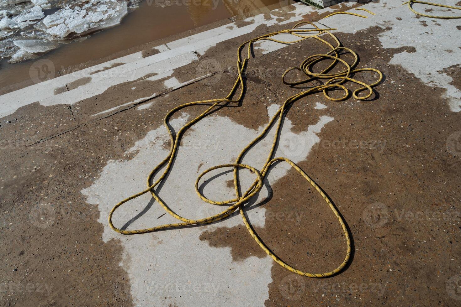 A bright yellow hose is currently laying flat on a damp concrete surface, glistening slightly from the moisture that has settled on it after perhaps a recent rain shower photo