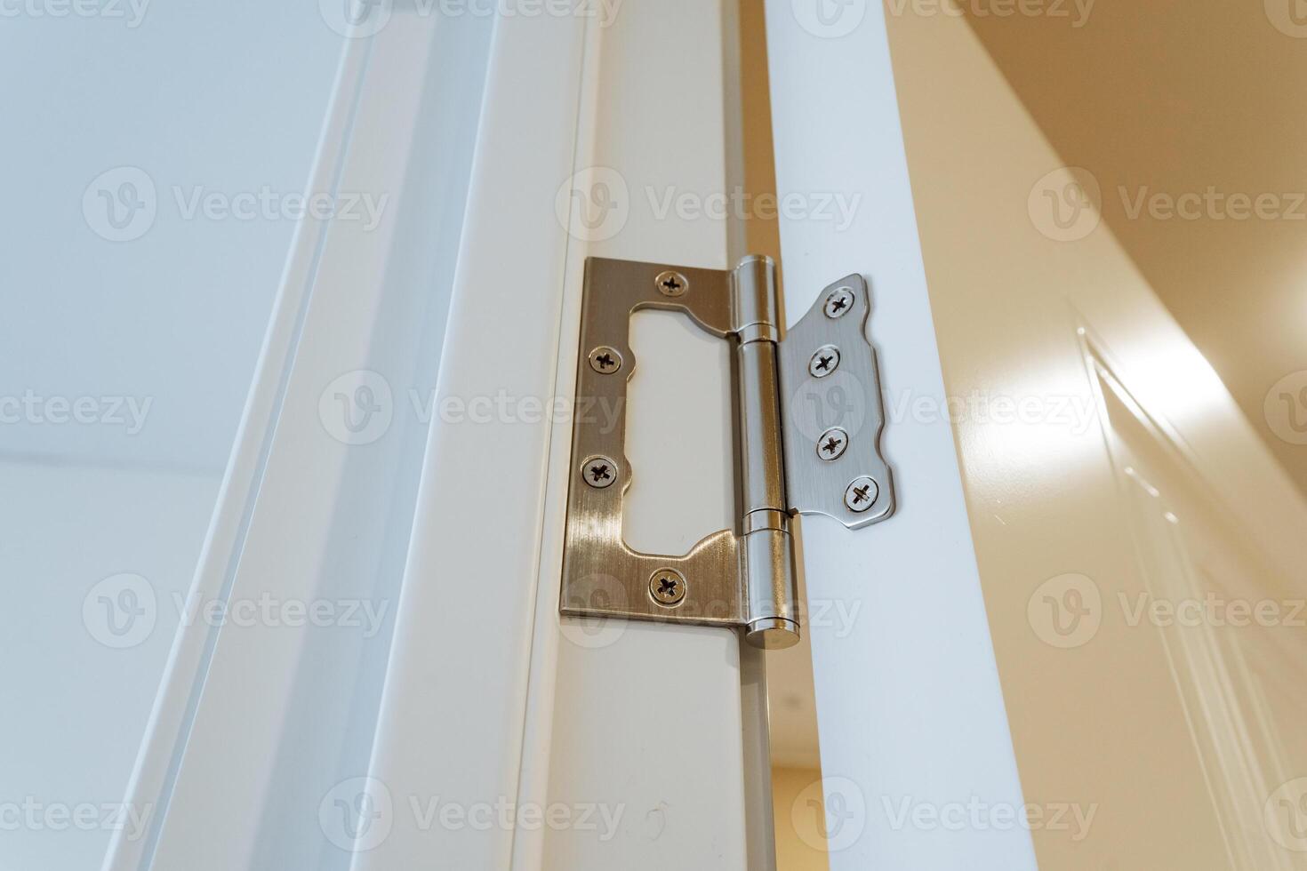 This is a detailed closeup view of a door hinge attached to a pristine white door, showcasing the intricate design and functionality of the hardware used in household doors photo