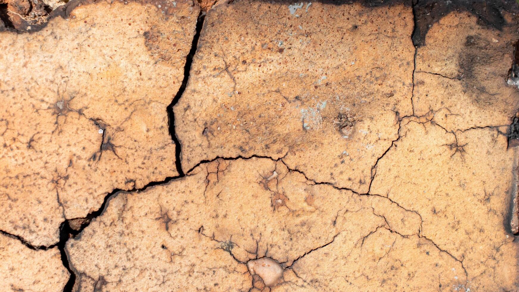 macro photo of an orange brick with visible texture. background