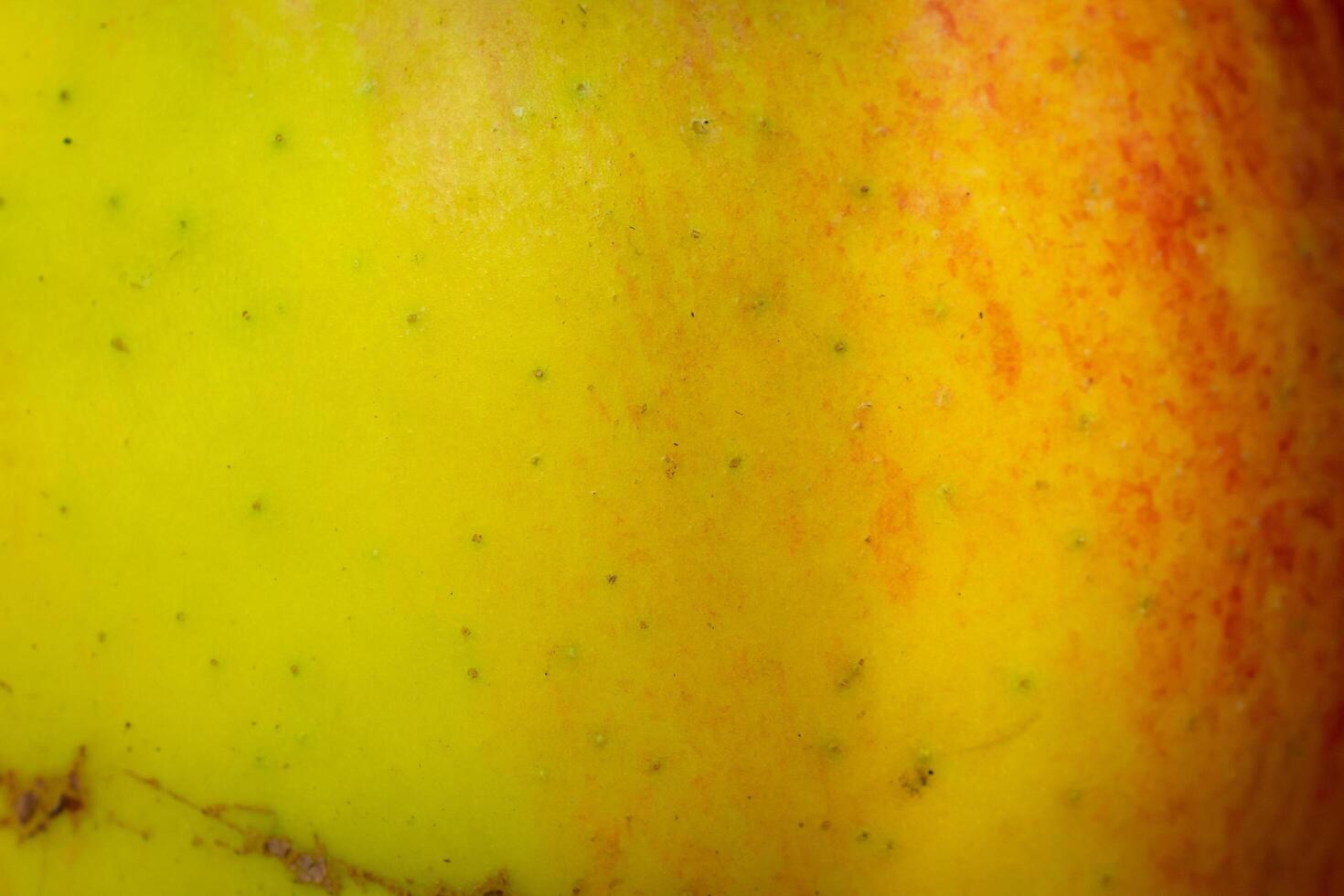 red and yellow apple skin with visible details. photo
