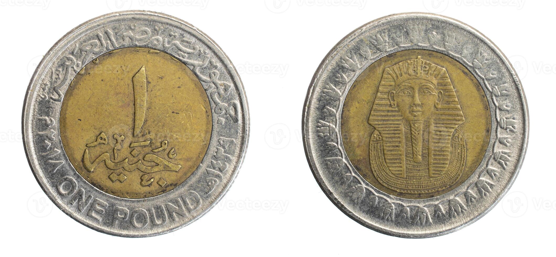 Egypt one pound coin on white isolated background photo