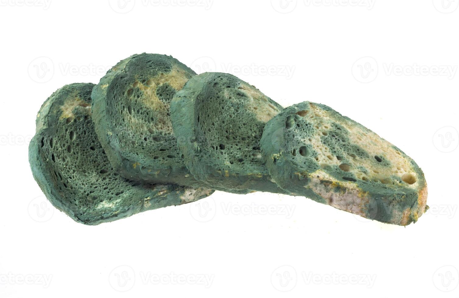 moldy slices of bread isolated background photo