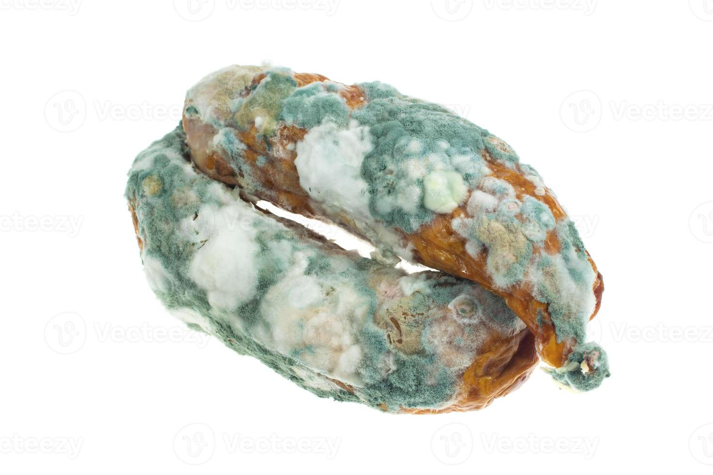 moldy sausage isolated background photo
