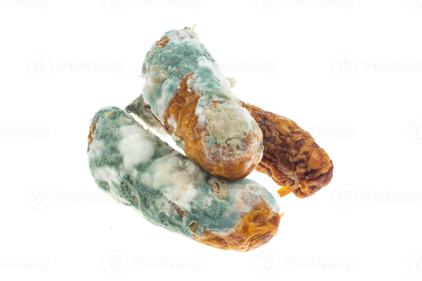 moldy sausage on a white background photo