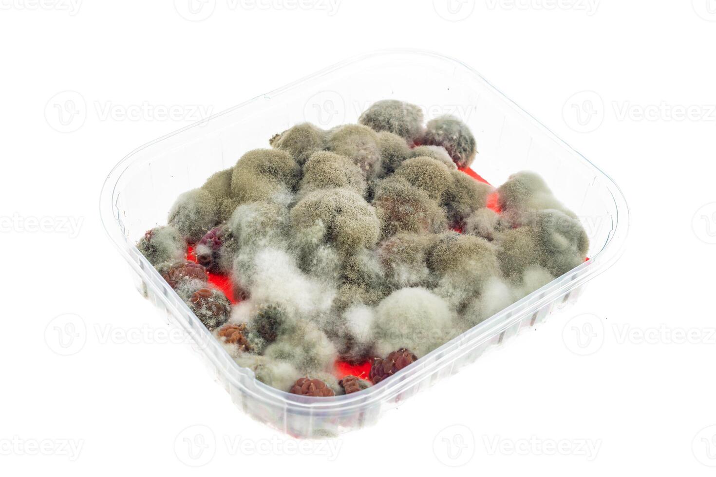 moldy raspberries, isolated background photo