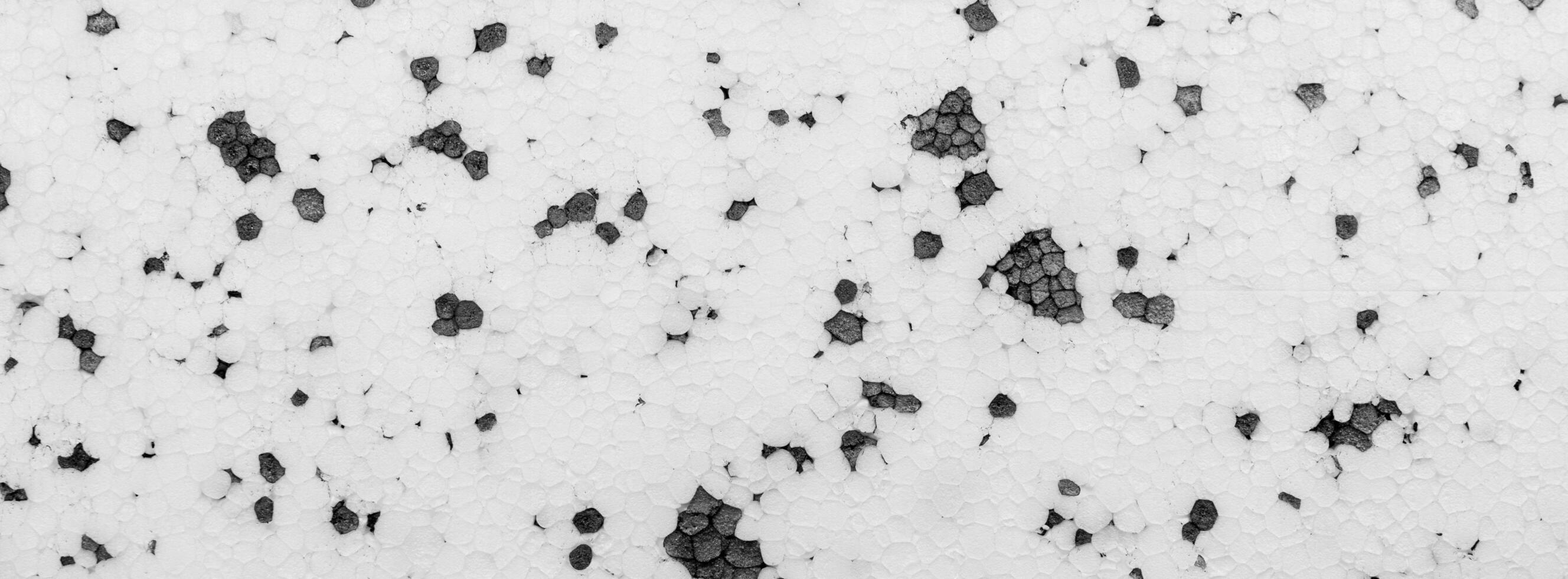 white and black polystyrene with a visible texture photo