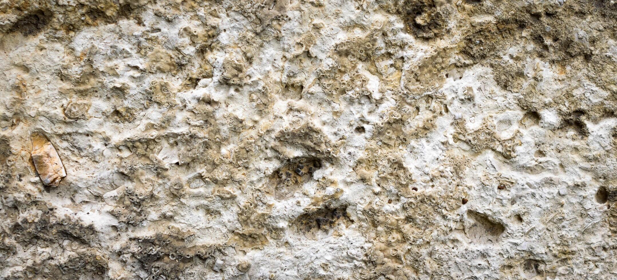 limestone with interesting background photo