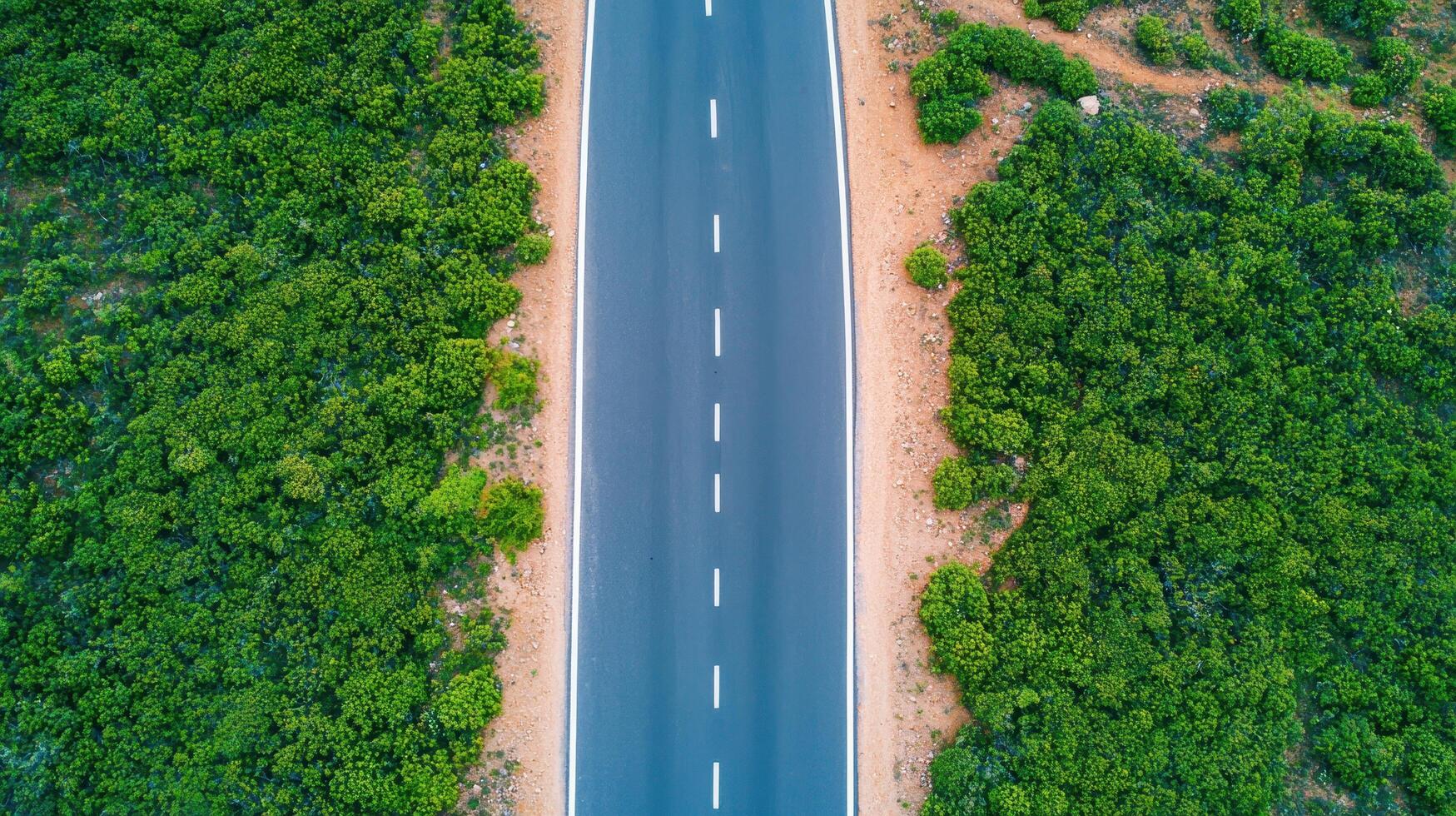 Aerial view of a straight road surrounded by lush greenery nature background scenic landscape tranquil environment photo