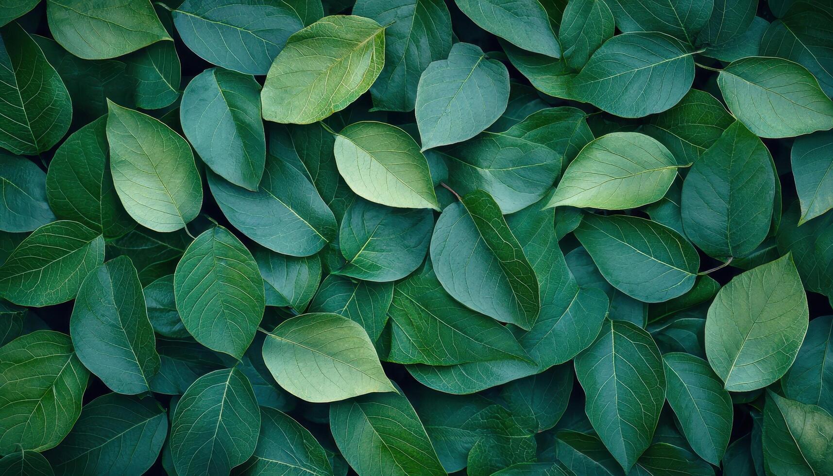 Nature's lush green leaves background with copyspace ideal for design closeup view tranquil environment photo