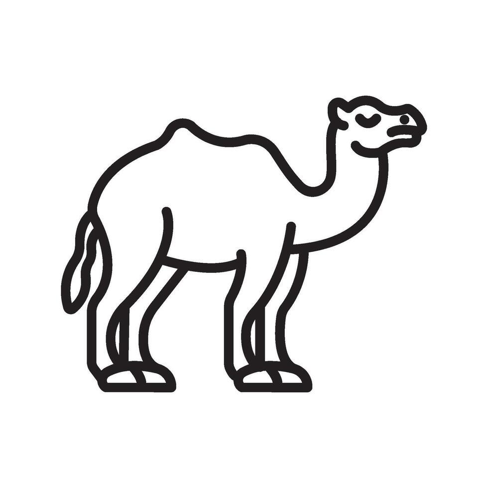 Camel line and glyph icon, illustration vector