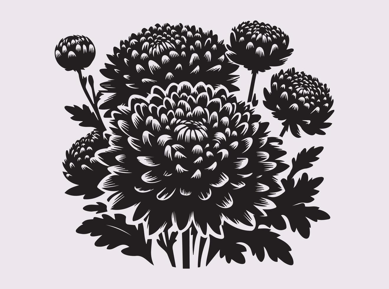 Floral Chrysanthemums Silhouette for Creative Design and Illustration vector