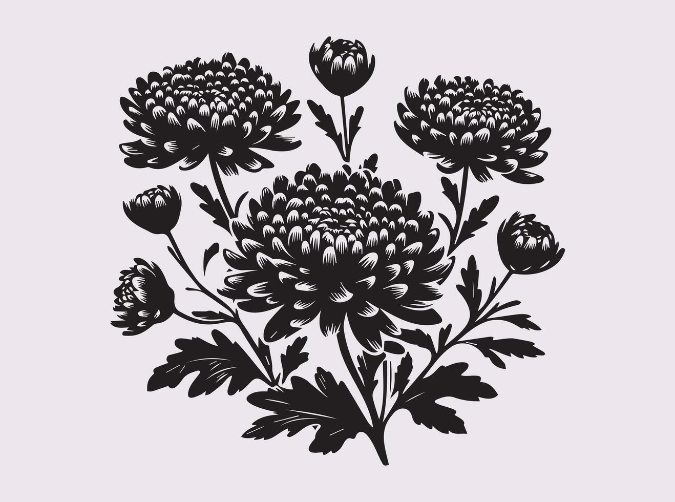 Graceful Chrysanthemums Silhouette for Nature-Inspired Artworks vector