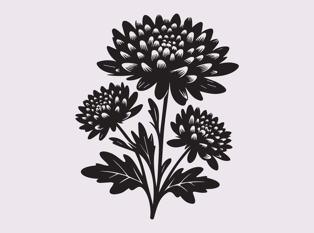 Decorative Chrysanthemums Silhouette for Floral and Botanical Themes vector